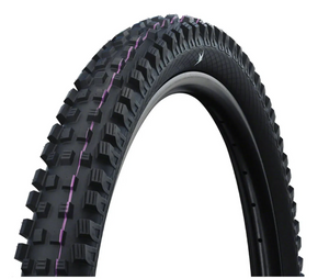 Schwalbe Magic Mary Radial Tire